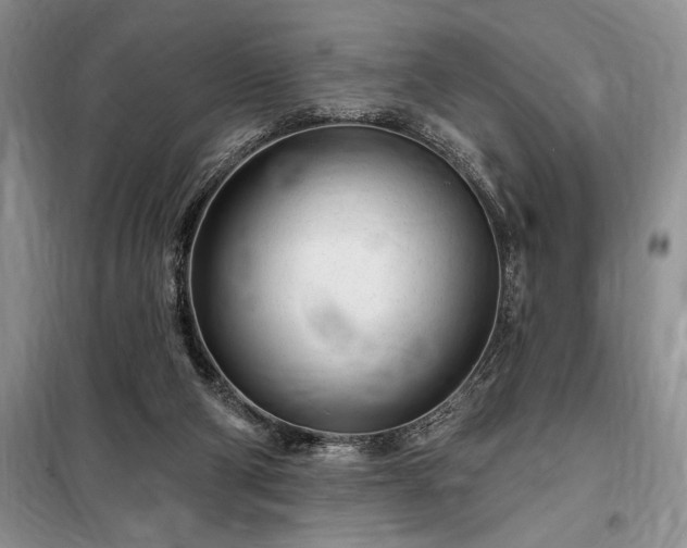 X0000098200114200805011156
