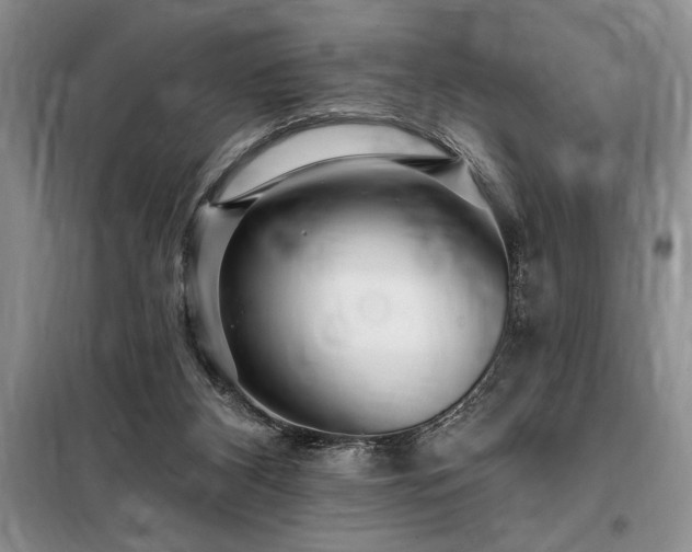 X0000098200116200805011156