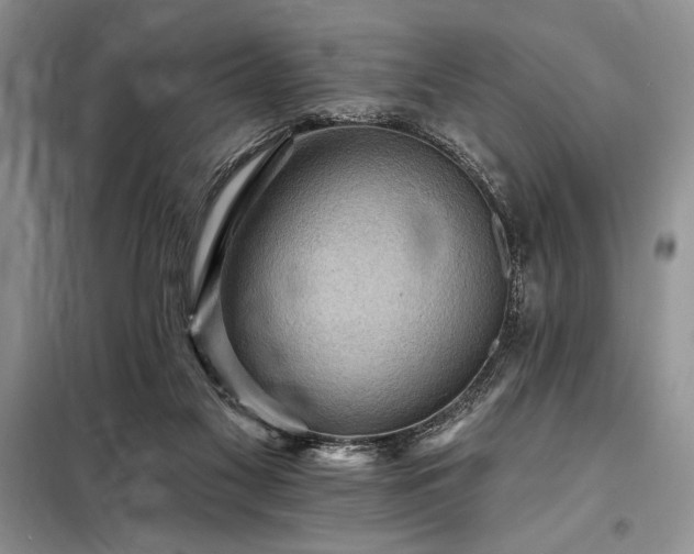 X0000098200117200805011156