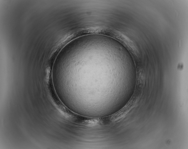 X0000098200118200805011156