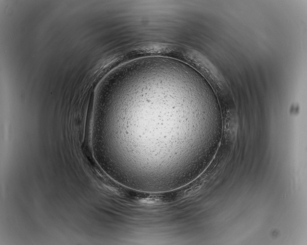 X0000098200119200805011156