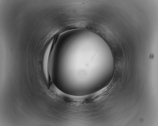X0000098200120200805011156