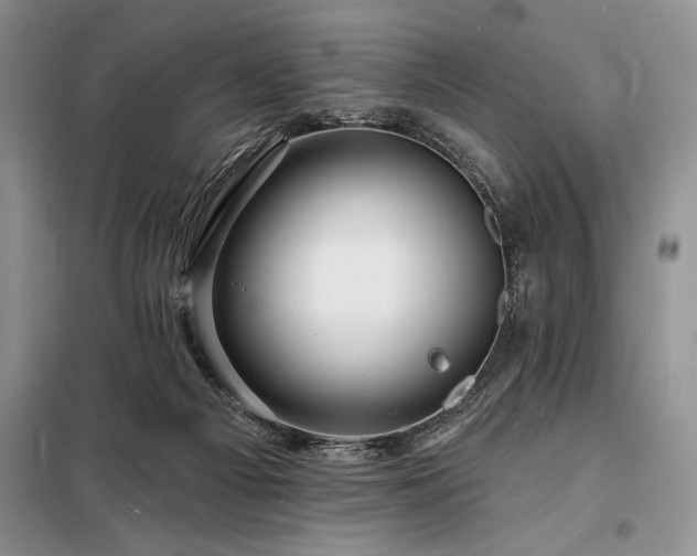 X0000098200121200805011156