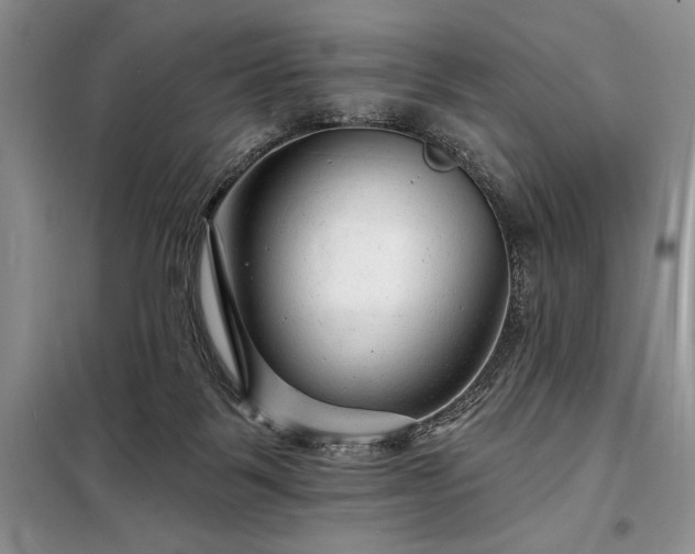 X0000098200123200805011156