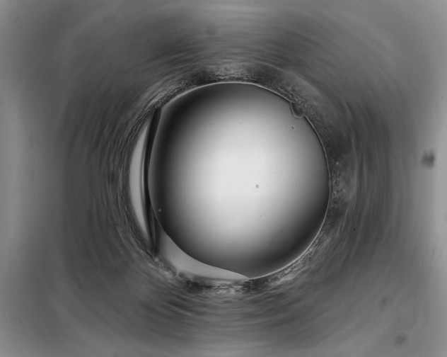 X0000098200124200805011156