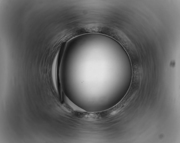 X0000098200125200805011156
