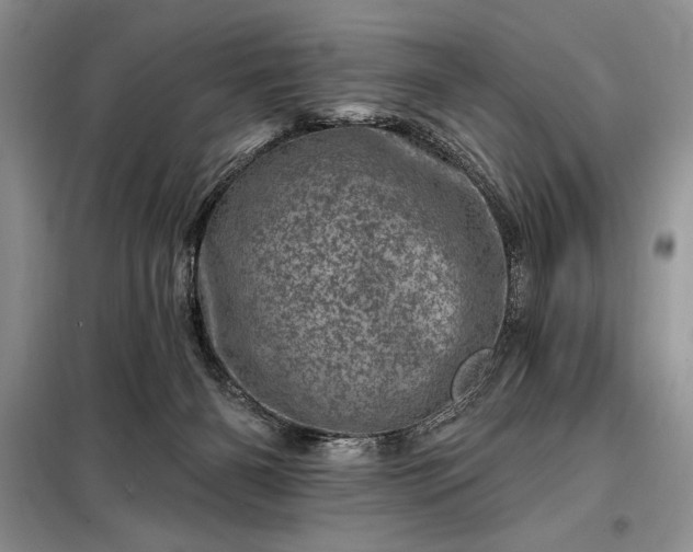 X0000098200126200805011156