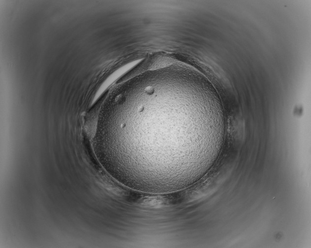 X0000098200127200805011156