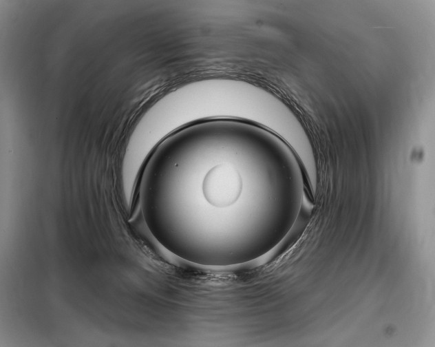 X0000098200128200805011156