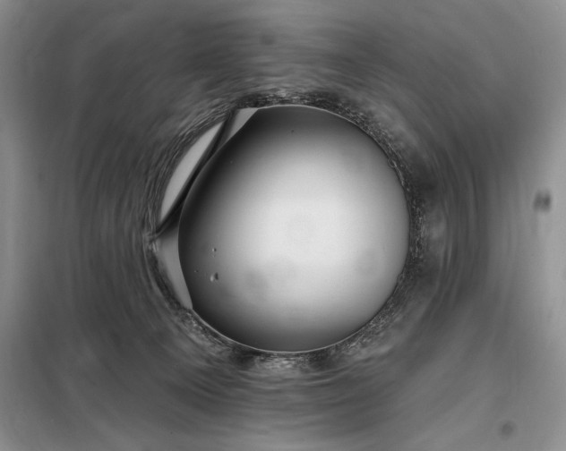X0000098200129200805011156