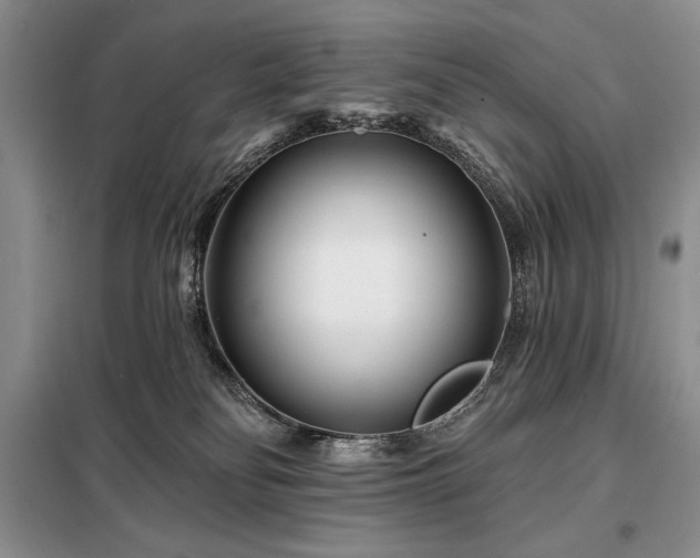 X0000098200134200805011156