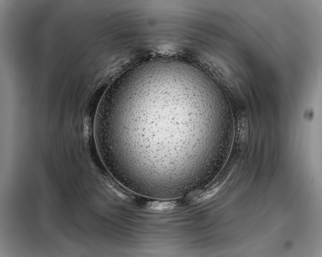 X0000098200135200805011156