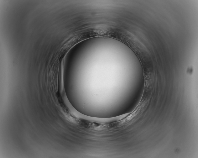 X0000098200136200805011156