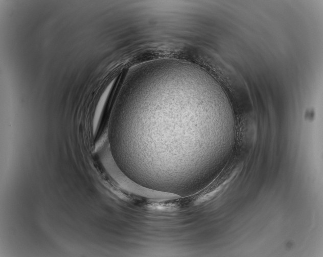 X0000098200137200805011156