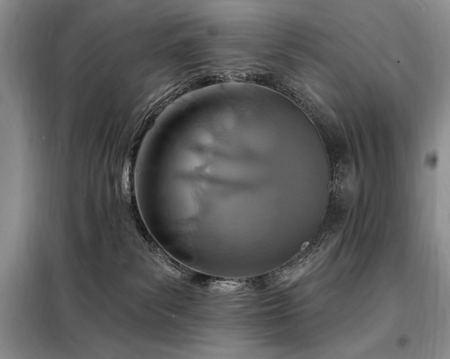 X0000098200139200805011156