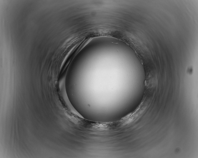 X0000098200140200805011156