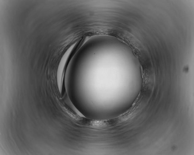 X0000098200141200805011156