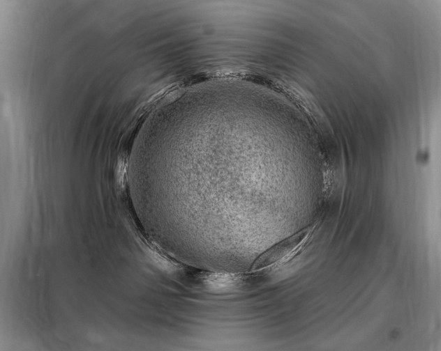 X0000098200142200805011156