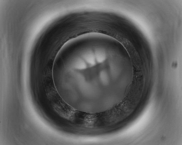 X0000098200143200805011156