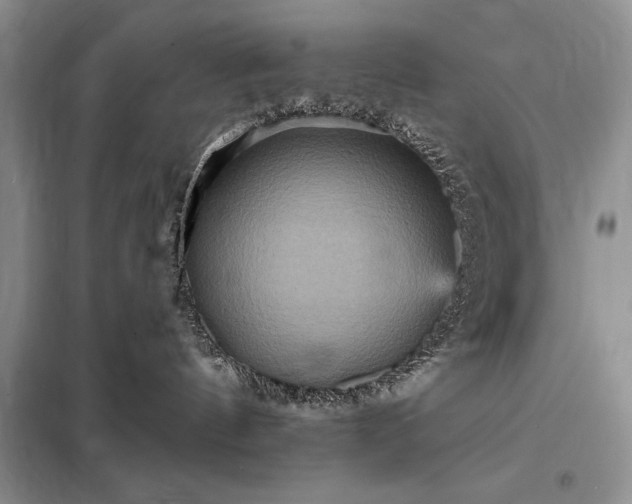 X0000098200144200805011156