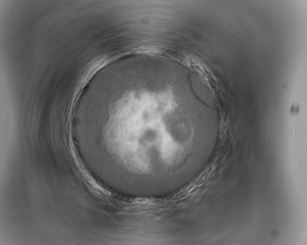 X0000098200145200805011155