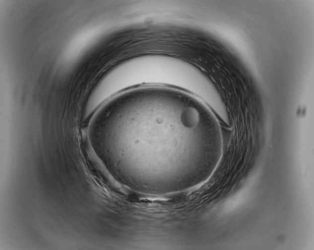 X0000098200146200805011155