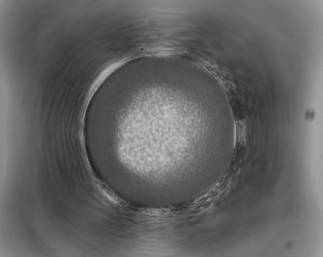 X0000098200147200805011155