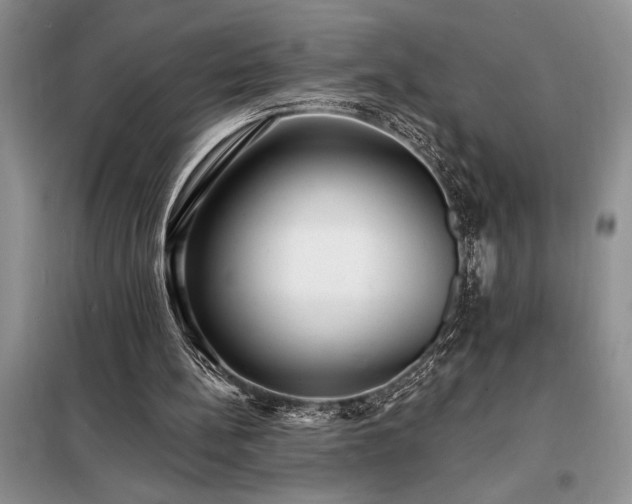 X0000098200148200805011155