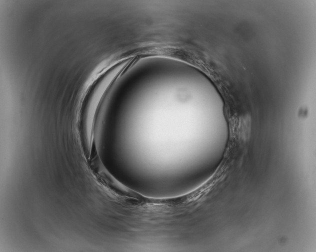 X0000098200150200805011155