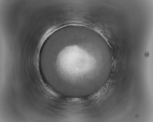 X0000098200151200805011155