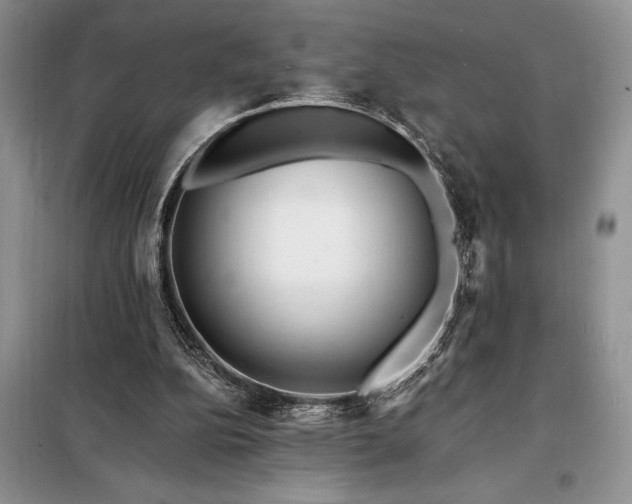 X0000098200152200805011155