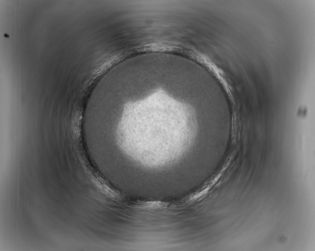X0000098200153200805011155