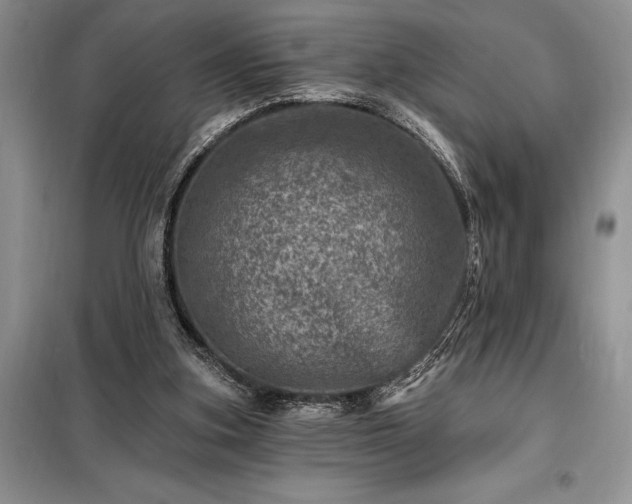 X0000098200155200805011155