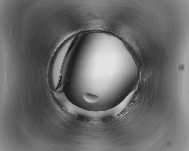 X0000098200156200805011155