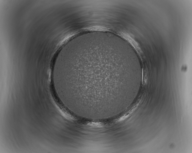 X0000098200157200805011155