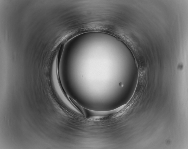 X0000098200158200805011155