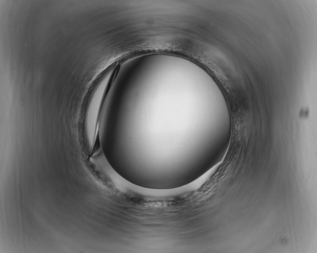 X0000098200160200805011155