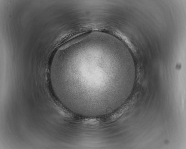 X0000098200161200805011155