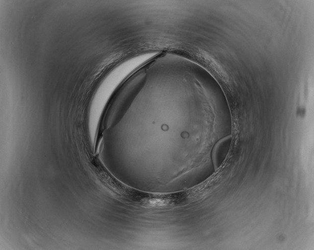 X0000098200163200805011155