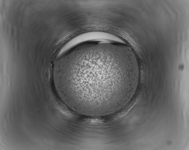 X0000098200165200805011155