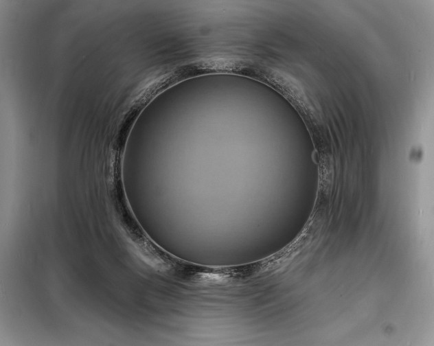 X0000098200167200805011155