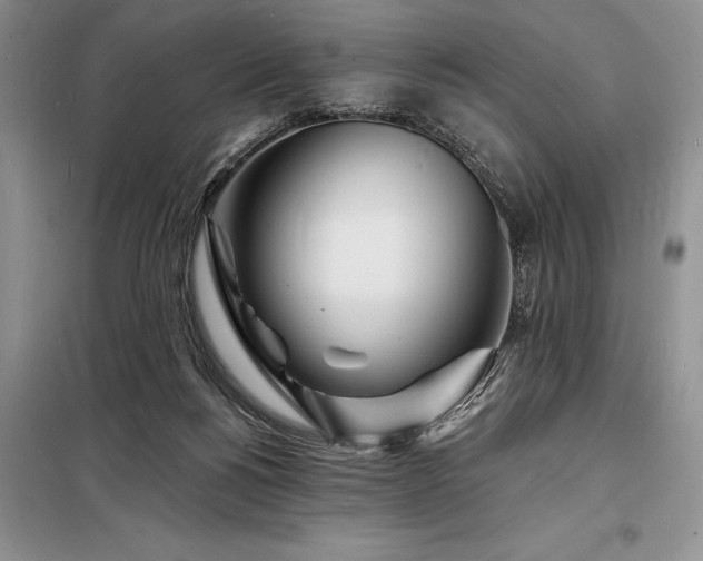 X0000098200168200805011155