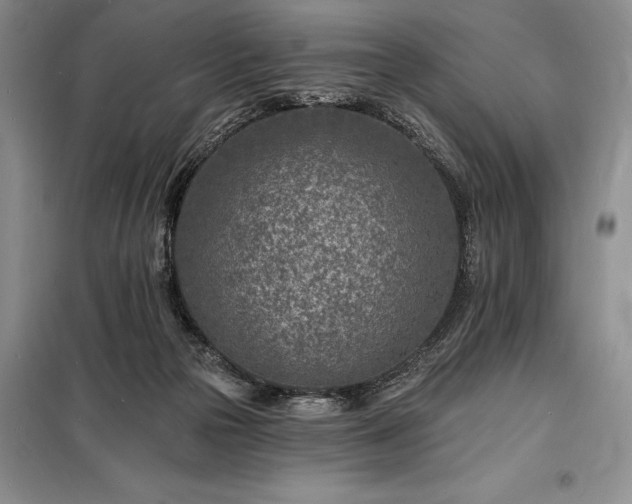 X0000098200169200805011155