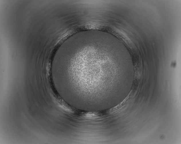 X0000098200171200805011155