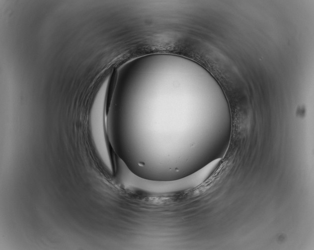 X0000098200172200805011155