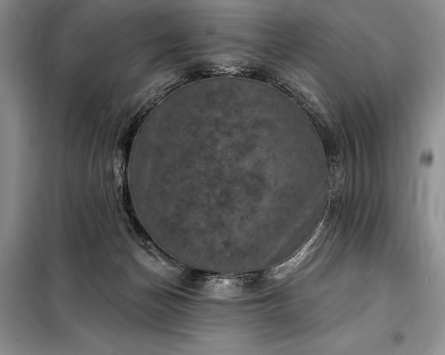 X0000098200174200805011155