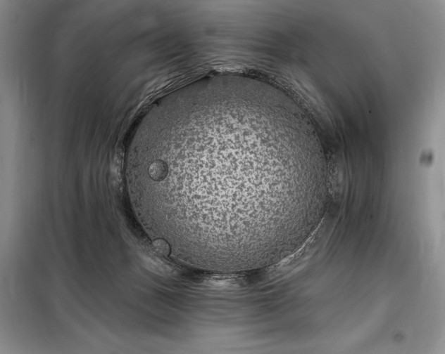 X0000098200175200805011156