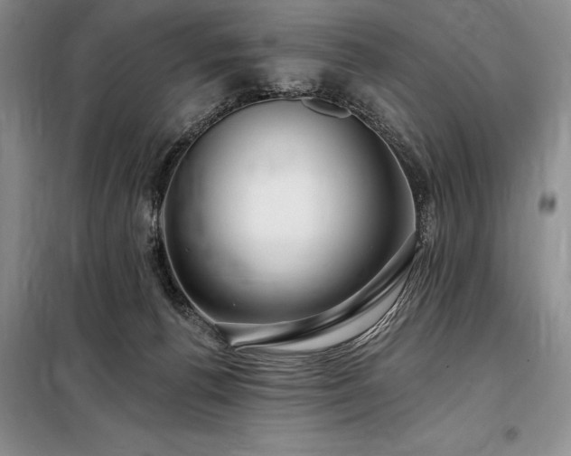 X0000098200176200805011156