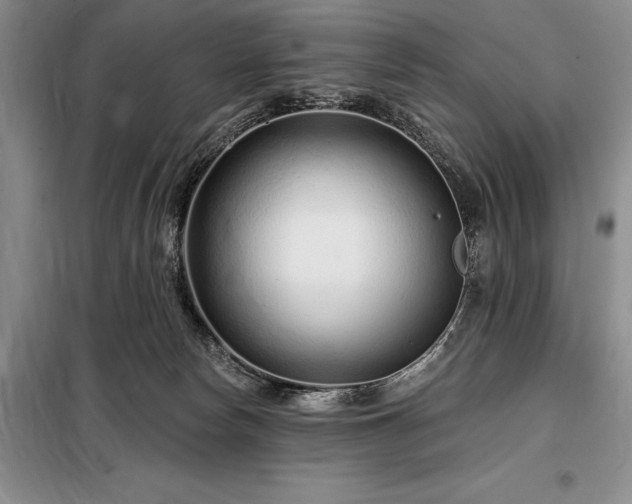 X0000098200178200805011156