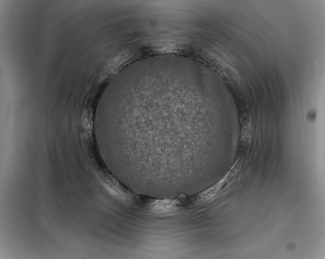 X0000098200179200805011156